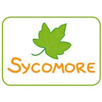 Sycomore