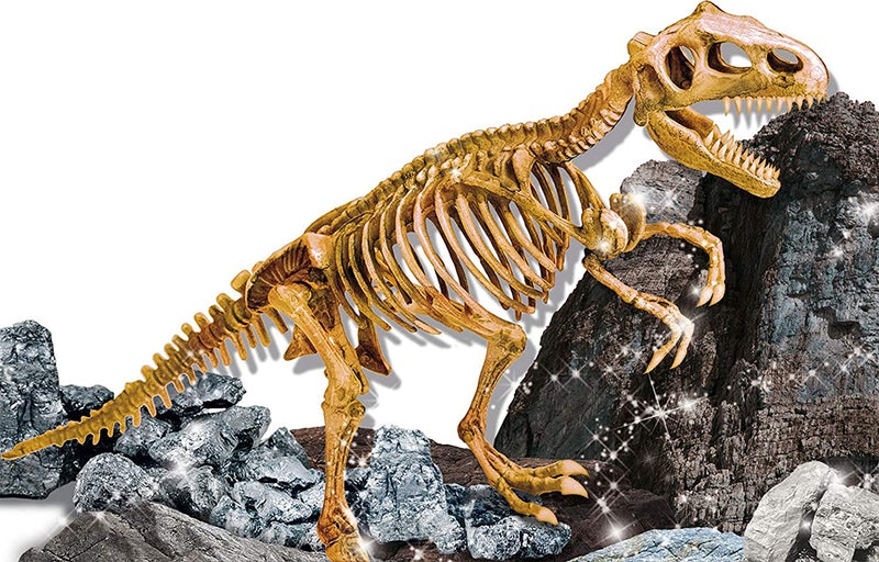 I'm a genius - Coffret scientifique X 4 - Lisciani - 8 ans et plus - Paléontologie - Des expériences variées et faciles à réaliser - Squelette de T-Rex